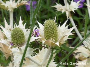 The-Savil-Gardens_201308_08.JPG