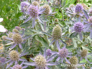 The-Savil-Gardens_201308_09.JPG
