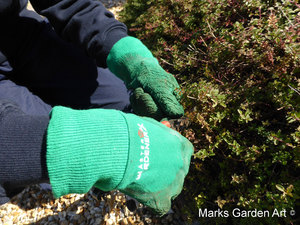 Gloves_no.1_02.JPG