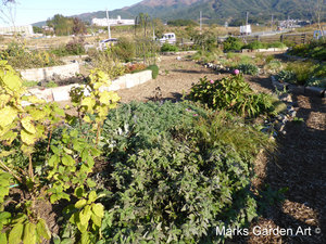 Hana-no-Chikara-Project_2013_33_201311_01.JPG