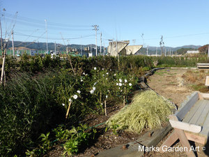 Hana-no-Chikara-Project_2013_35_201311_03.JPG