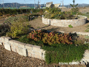 Hana-no-Chikara-Project_2013_36_201311_04.JPG