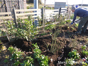 Hana-no-Chikara-Project_2013_38_201311_06.JPG