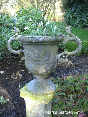 Bulbs_06_Galanthus_spp_03.JPG