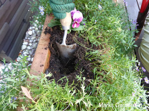 Professional_Planting_01.JPG