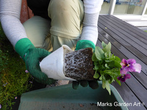 Professional_Planting_02.JPG
