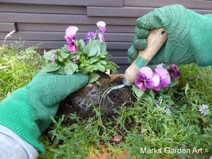 Professional_Planting_04.JPG