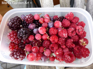 Berries_10_mixed_01.JPG