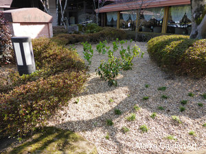 area_E_201404_03.JPG