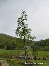 Hakuba_201405_03.JPG