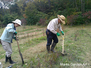 Hakuba_201410_06.jpg
