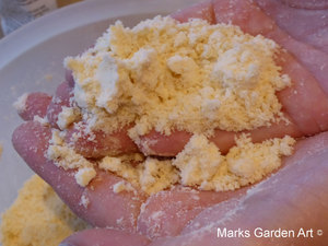 Apple-Crumble_05.JPG