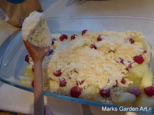 Apple-Crumble_07.JPG