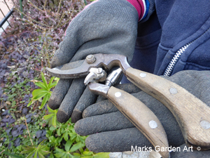 Gardener's_tool_secateurs_JBY0290_03.JPG