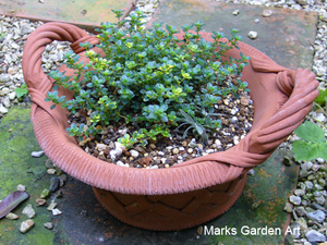 Pic_Containers_01.jpg