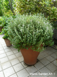 Pic_Containers_02.JPG