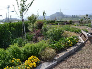 Pic_Garden-of-Hope_03.JPG