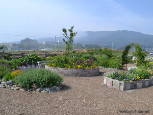 Pic_Garden-of-Hope_04.JPG
