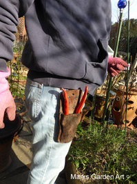 Rose_Pruning_2015_02.JPGのサムネール画像