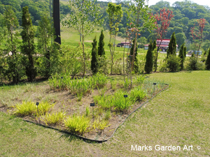 Hakuba_Grass_01_May.JPG