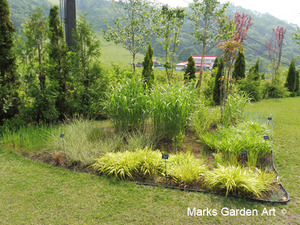Hakuba_Grass_02_June.JPG