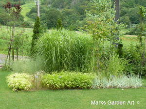 Hakuba_Grass_05_August.JPG