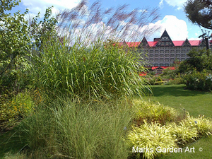 Hakuba_Grass_07_October.jpg