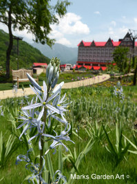 Hakuba_201509_09.jpg