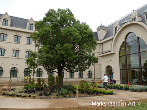 Rehabilitation-therapy-Garden_201510_05.jpg