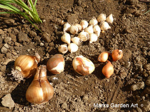 Rehabilitation-therapy-Garden_201510_07.jpg
