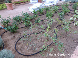 Rehabilitation-therapy-Garden_201510_09.jpg
