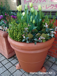 Pot_Tulip_201601_01.jpg