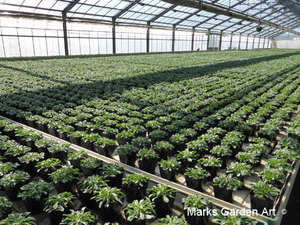 Nursery_2016_Feb_01.jpg