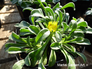 Nursery_2016_Feb_02.jpg
