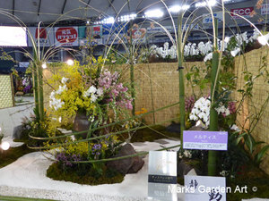 Orchid_2016_05.jpg