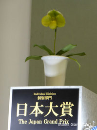 Orchid_2016_06.jpg