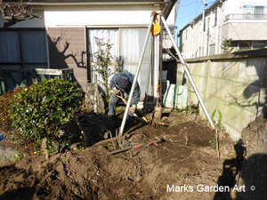 Renewal_garden_in_Chofu_I_201602_03.jpg