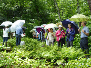 Hakuba_Lecture_2016_05.jpg