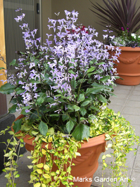 pot_autumn_01.jpg
