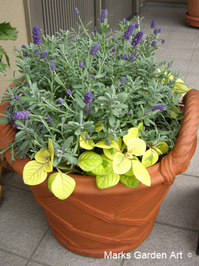 pot_autumn_02.jpg