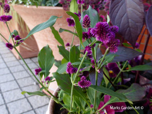 pot_autumn_04.jpg