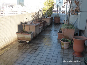 Mansion_renovation_201701_06.jpg