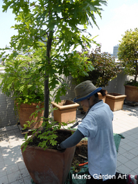 Mansion_renovation_201707_01.jpg