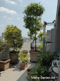 Mansion_renovation_201707_02.jpg