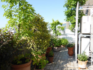 Mansion_renovation_201707_03.jpg