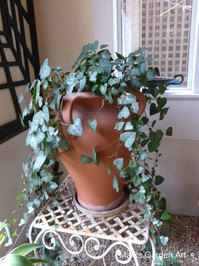 Pruning_201710_06.JPG