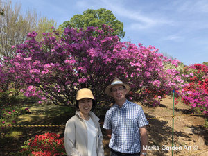 Gunma_Flower_Park_2018_04.JPG