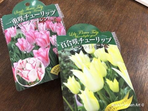 Bulb_201910_01.jpg