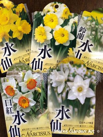 Bulb_201910_03.jpgのサムネイル画像