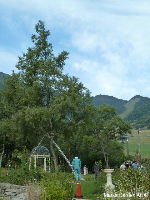 Hakuba_202305_06.JPG